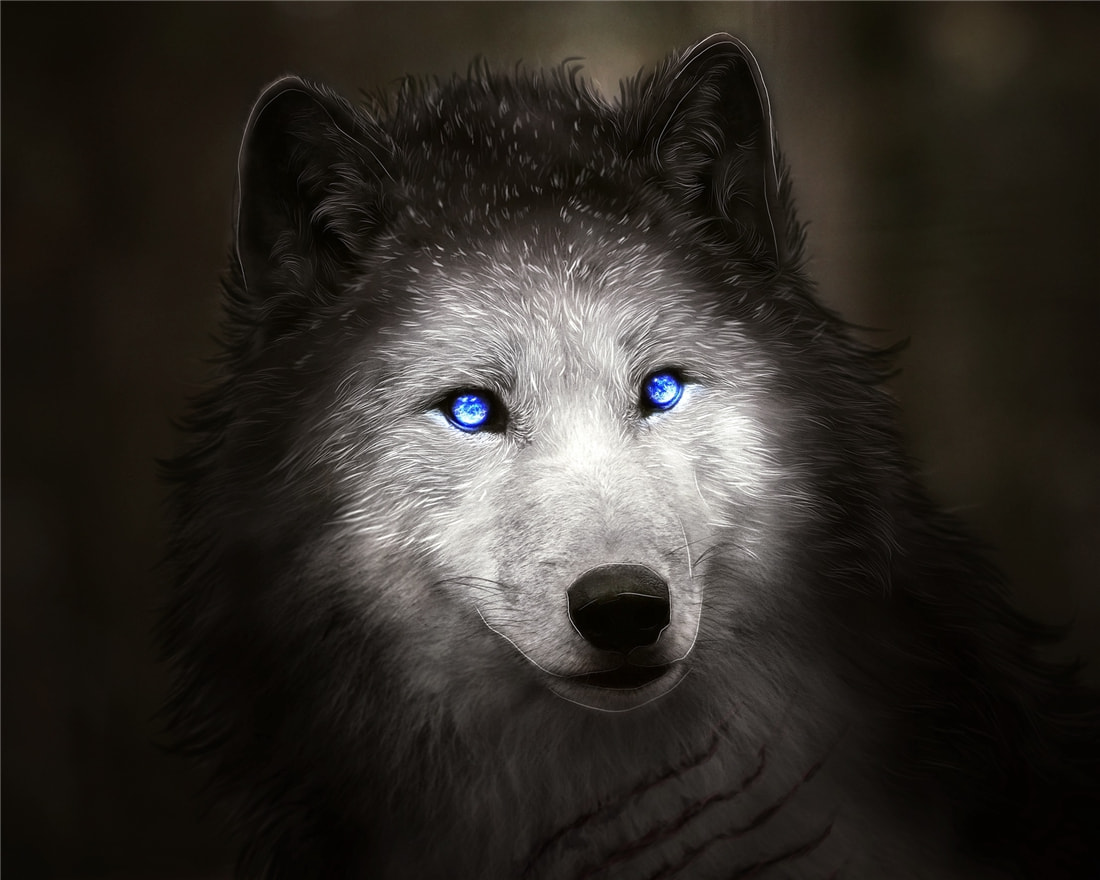 長白山多次出現(xiàn)“狽”，最早記載于西漢，奔跑時前腿搭在狼身上