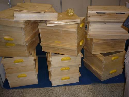 多少脾蜂才能分蜂（中蜂養殖，如何給蜜蜂分蜂）