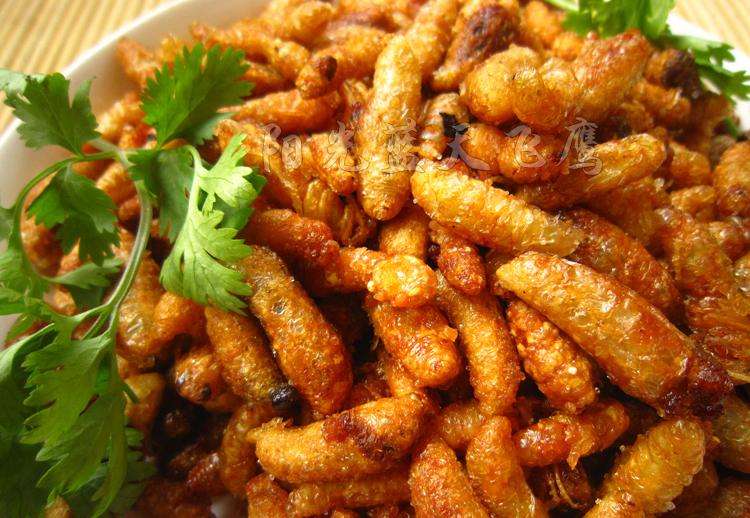 如何區(qū)別蜜蜂蛹和胡蜂蛹？