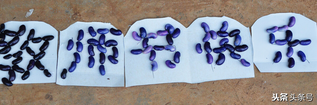 今天是教師節(jié)，你最想對老師說什么？