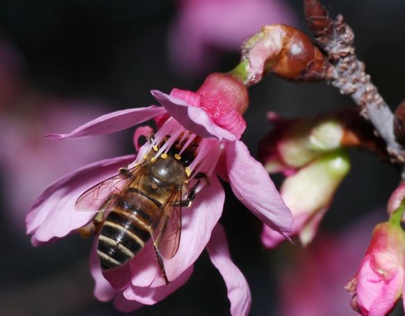 冬天會有螨蟲嗎(冬天螨蟲多還是夏天螨蟲多) 冬天會有螨蟲嗎(冬天螨蟲多還是夏天螨蟲多)