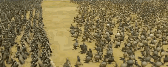 地球上最成功的植物，1萬年前操縱智人，占地面積將近10個(gè)英國