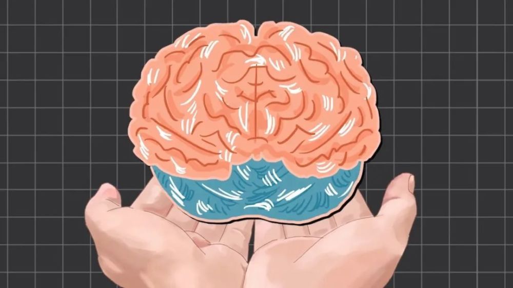 地球上最成功的植物，1萬年前操縱智人，占地面積將近10個(gè)英國