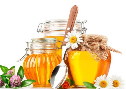 野蜜蜂怎么養(yǎng)它不會走(怎么樣養(yǎng)野蜂) 野蜜蜂怎么養(yǎng)它不會走(怎么樣養(yǎng)野蜂)