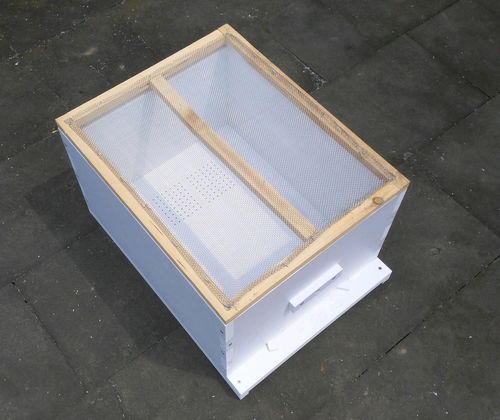 新手養(yǎng)蜜蜂死了是怎么回事（剛來的野蜂，不久全部死亡，什么原因）