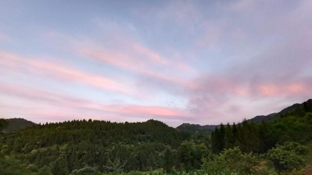 蜜蜂什么時(shí)候取蜜最好？取蜜的3種常用方法，每種方法的利與弊