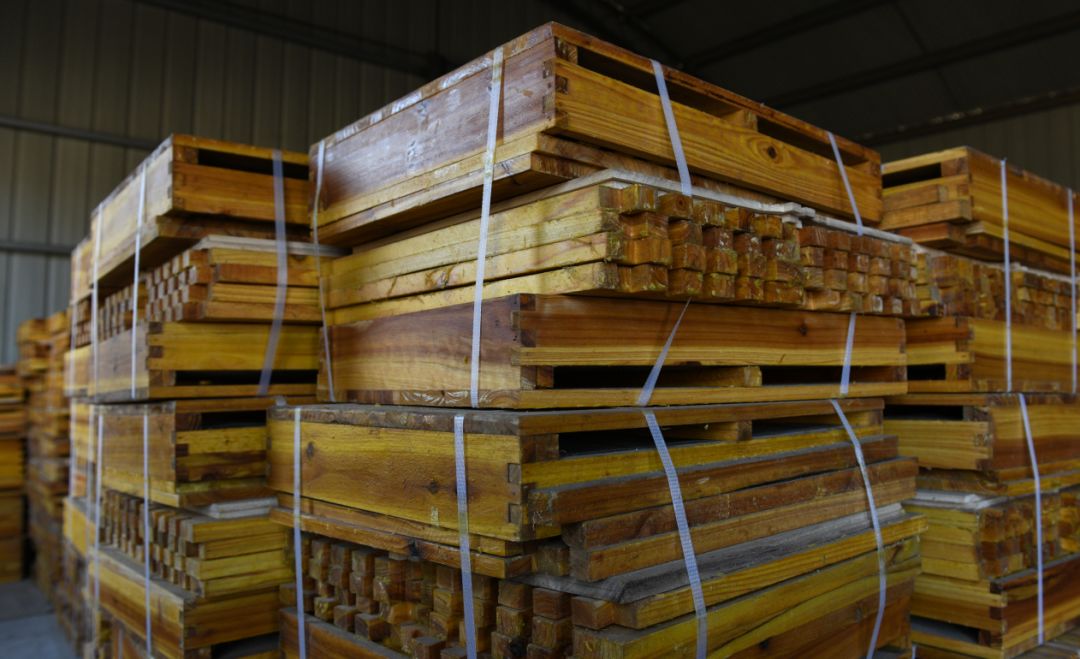 北方蜜蜂越冬管理技術(shù)（蜜蜂在北方怎樣過(guò)冬）