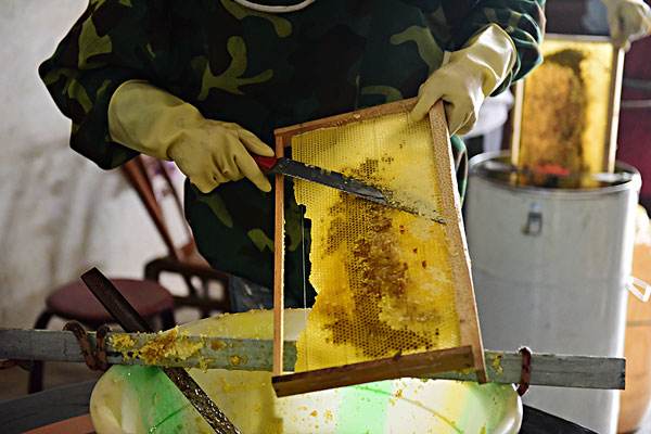 什么是搖蜜機 什么是搖蜜機