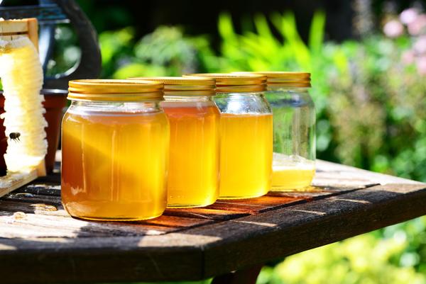 蜜蜂群中為什么會有黑蜜蜂出現(什么是黑蜂) 蜜蜂群中為什么會有黑蜜蜂出現(什么是黑蜂)