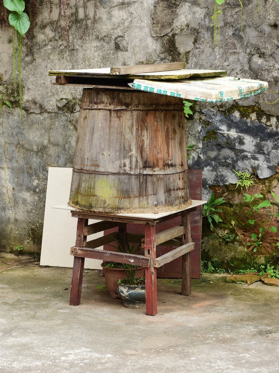 土養(yǎng)蜜蜂冬天怎么喂(中華蜂土養(yǎng)如何安全越冬) 土養(yǎng)蜜蜂冬天怎么喂(中華蜂土養(yǎng)如何安全越冬)