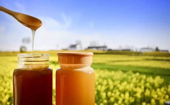 市面上的蜂蜜和成熟蜜的區(qū)別(市面上的蜂蜜多為“水蜜”,其營(yíng)養(yǎng)比成熟蜜差多少) 市面上的蜂蜜和成熟蜜的區(qū)別(市面上的蜂蜜多為“水蜜”,其營(yíng)養(yǎng)比成熟蜜差多少)