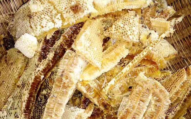 養蜂人怎么打造蜂蜜品牌（怎么做好品牌）