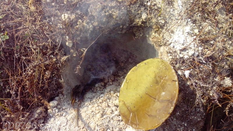 怎樣引蜜蜂進蜜蜂箱(怎樣把蜜蜂引到蜂箱里) 怎樣引蜜蜂進蜜蜂箱(怎樣把蜜蜂引到蜂箱里)