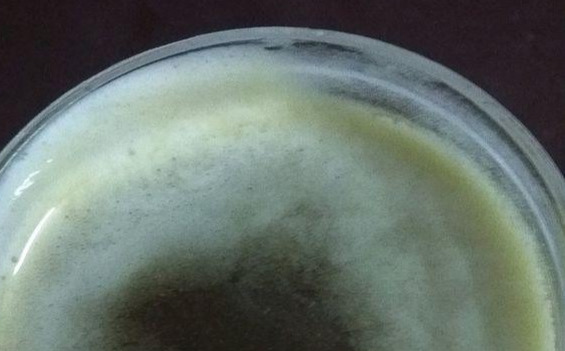 蜂蜜排行榜前十名(正宗蜂蜜是什么樣的) 蜂蜜排行榜前十名(正宗蜂蜜是什么樣的)