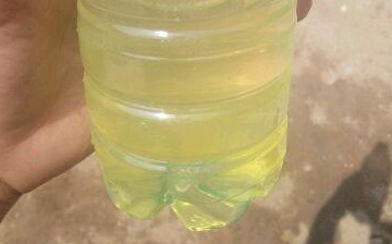 蜂蜜排行榜前十名(正宗蜂蜜是什么樣的) 蜂蜜排行榜前十名(正宗蜂蜜是什么樣的)