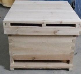 一個人養500箱蜜蜂可行嗎(一個人最多能養多少箱蜜蜂) 一個人養500箱蜜蜂可行嗎(一個人最多能養多少箱蜜蜂)