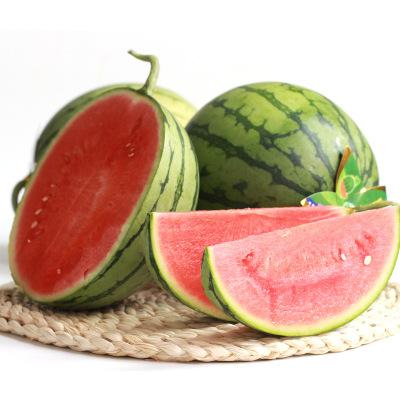 無籽西瓜有哪些品種(15種無籽西瓜品種介紹) 無籽西瓜有哪些品種(15種無籽西瓜品種介紹)