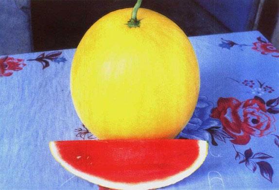 無籽西瓜有哪些品種(15種無籽西瓜品種介紹) 無籽西瓜有哪些品種(15種無籽西瓜品種介紹)