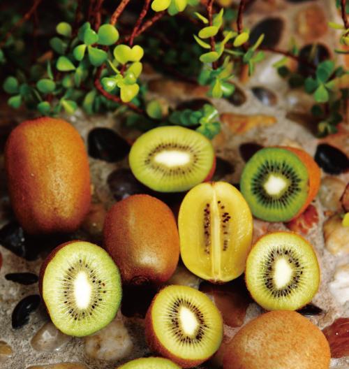 奇異果是什么季節的水果(獼猴桃和奇異果的區別) 奇異果是什么季節的水果(獼猴桃和奇異果的區別)