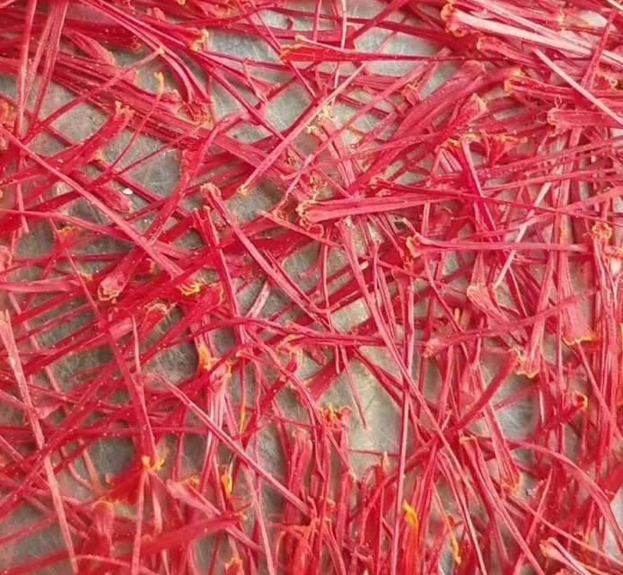 西紅花種子怎么種什么時候種(西紅花種子的種植方法) 西紅花種子怎么種什么時候種(西紅花種子的種植方法)