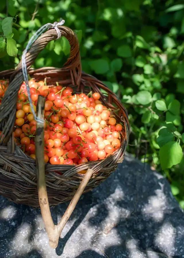 為什么車(chē)?yán)遄颖葯烟屹F很多（車(chē)?yán)遄雍蜋烟业膮^(qū)別）