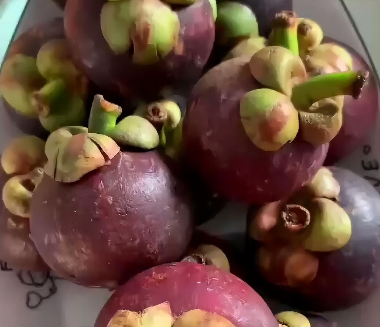 山竹長在土里還是樹上(山竹生長的地方和栽培技術(shù)) 山竹長在土里還是樹上(山竹生長的地方和栽培技術(shù))