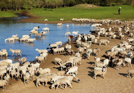藏在農(nóng)村的小生意有哪些（10個(gè)適合農(nóng)村的小生意）