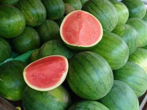 無籽西瓜是什么品種(無籽西瓜的選擇技巧和培育方式) 無籽西瓜是什么品種(無籽西瓜的選擇技巧和培育方式)