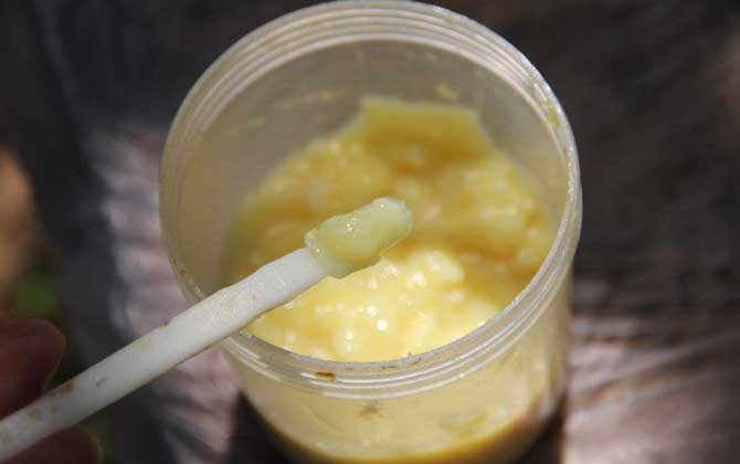 蜂王漿在冰箱中保質(zhì)期多久？