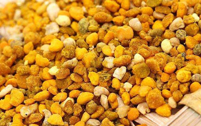 最新蜂花粉價格多少錢一斤？