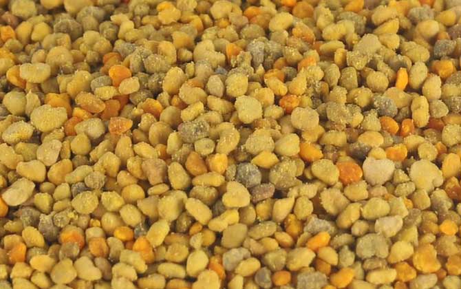 哪些人不適合吃蜂花粉？