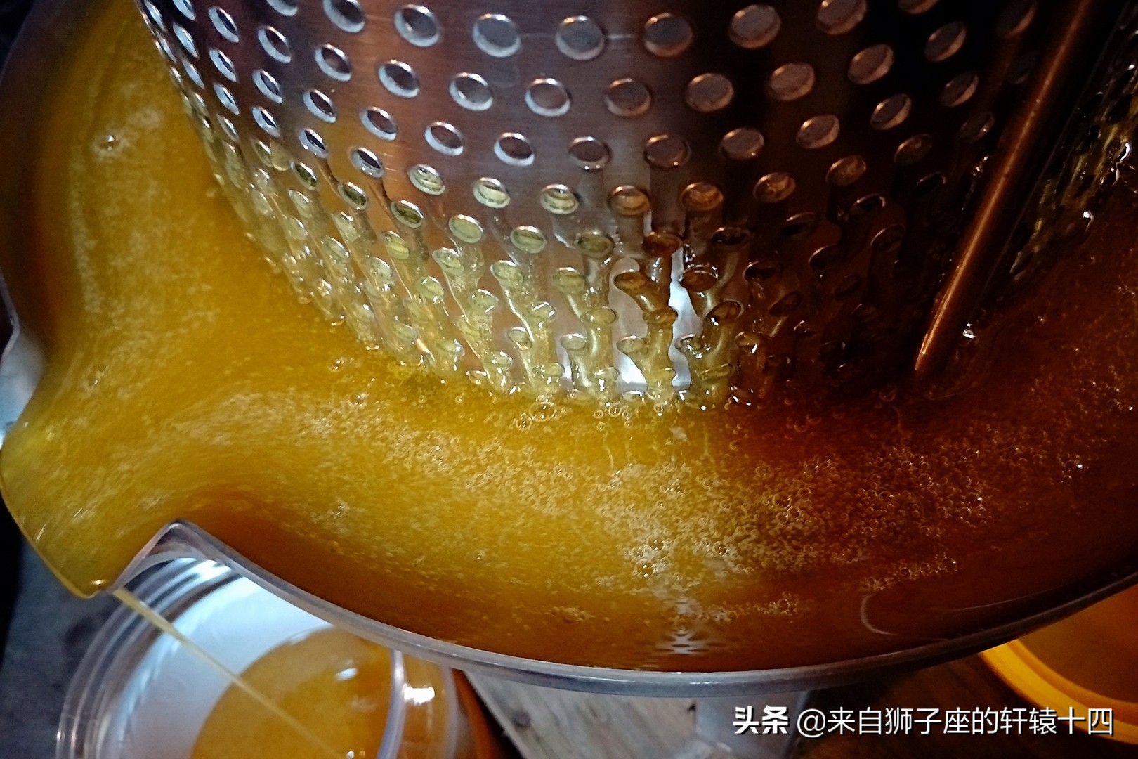 探尋養蜂人，取蜂蜜要用煙熏