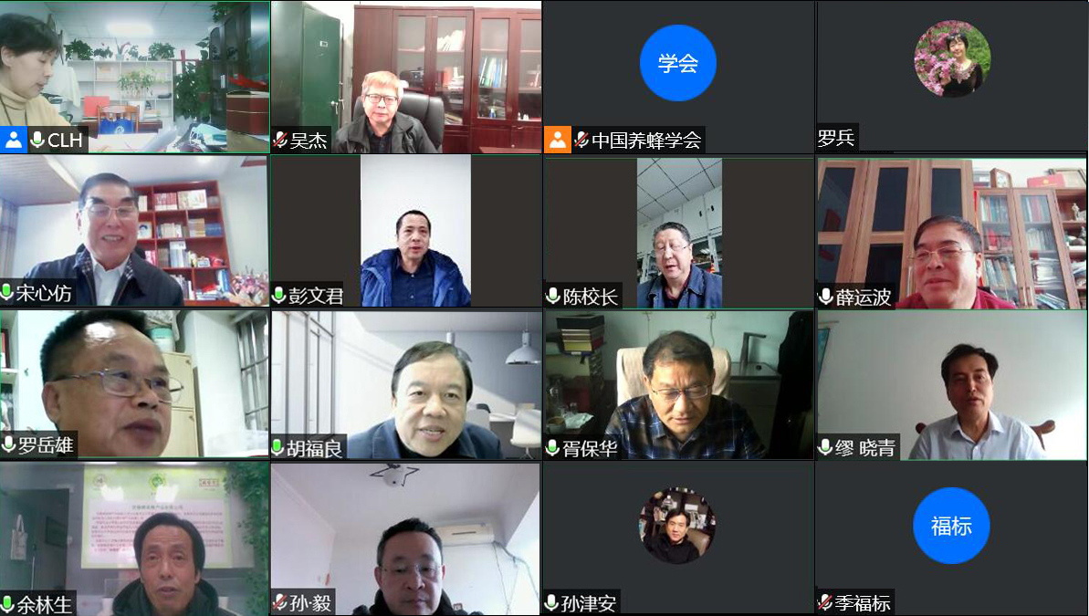 會議資訊|中國養蜂學會召開八屆十一次理事長辦公會視頻會議