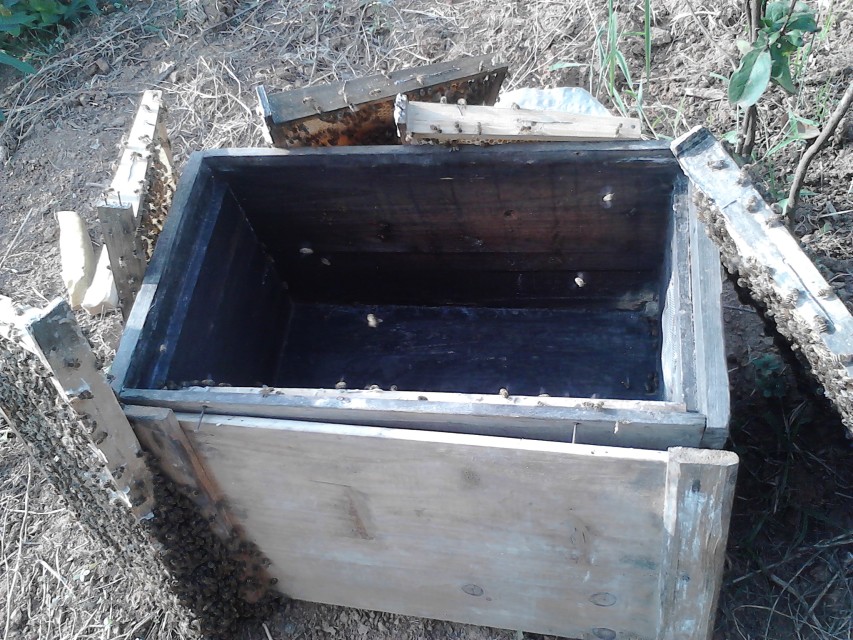 養(yǎng)中蜂在蜂場里喂水可以嗎（給蜂群喂水的五種方法及其利弊）