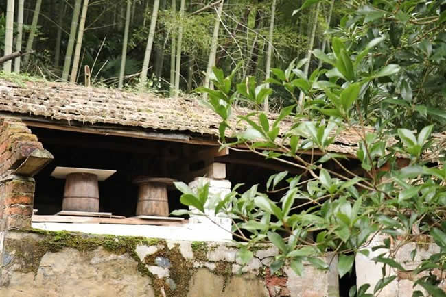 什么是土法養(yǎng)蜂技術(shù)？