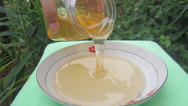 意蜂蜜和中蜂蜜哪個好（中蜂蜜和意蜂蜜的區(qū)別）